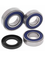 Rulmenti roata spate cu simeringuri All Balls KTM DUKE 690 '14-'16