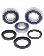 Rulmenti roata spate cu simeringuri All Balls YAMAHA YZF R1 '15-'18