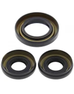 Simeringuri diferential fata All Balls YAMAHA YFM 350/400 '98-'01, HONDA TRX 300 FW