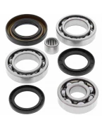 Kit reparatie diferential spate All Balls HONDA TRX250 FOURTRAX '85-'87