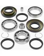 Kit reparatie diferential spate All Balls HONDA TRX250 RECON '97-'14, TRX250EX SPORTRAX '01-'14
