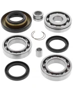 Kit reparatie diferential spate All Balls HONDA TRX 400 FW '95-'01, TRX 450 S/ES '98-'01