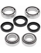 Kit reparatie diferential fata All Balls KAWASAKI KLF300C BAYOU '89-'05, KLF400 BAYOU '93-'99