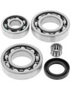 Kit reparatie diferential spate All Balls KAWASAKI KLF220 BAYOU '88-'02, KLF250 BAYOU '03-'11