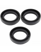 Simeringuri diferential fata All Balls ARCTIC CAT / SUZUKI