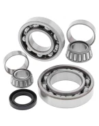 Kit reparatie diferential spate All Balls KAWASAKI KLF300 BAYOU '88-'04