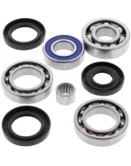 Kit reparatie diferential spate All Balls ARCTIC CAT 375/400 '02-04, 400 VP '05-06, 500 '02
