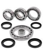 Kit reparatie diferential spate All Balls SUZUKI LT-A500F QUAD MASTER (01), LT-F500F '01-'02