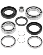 Kit reparatie diferential spate All Balls HONDA TRX 420 '07-'13