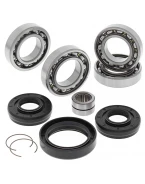 Kit reparatie diferential fata All Balls HONDA TRX500FE 12-13, TRX500FM 12-13, TRX500FPE 12-13, TRX500FPM 12-13