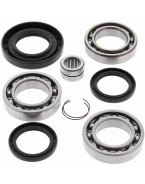 Kit reparatie diferential spate All Balls HONDA TRX420 FA/FM/FE/TE/TM '14-'15, TRX500 FE/FM/FPE/FPM '12-'15