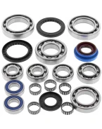 Kit reparatie diferential spate All Balls POLARIS SPORTSMAN,