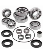 Kit reparatie diferential spate All Balls POLARIS SCRAMBLER 500 '02-'12 (4X4)