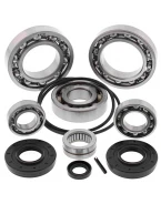 Kit reparatie diferential spate All Balls KAWASAKI TERYX 750 '08-'13