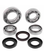 Kit reparatie diferential spate All Balls YAMAHA YFM 450 GRIZZLY '11-14