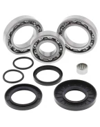 Kit reparatie diferential spate All Balls KAWASAKI KVF 300 BRUTE FORCE '12-'18