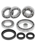 Kit reparatie diferential fata All Balls CF MOTO, POLARIS RANCHER 500 '11-'13, RANCHER 600 '11-13, TRACKER 800 '13-14,TERRACROSS 600/625/800