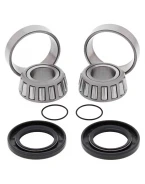 Kit reparatie bascula All Balls YAMAHA YFM 250/400 BIG BEAR
