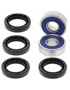 Kit reparatie brat fata superior/inferior (A-Arm) All Balls ARCTIC CAT DVX 250 '06-'09, 300 '09-'12