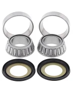 Rulmenti coloana directie cu simeringuri All Balls HONDA CRM 125R '93-'99 NX 125 '95-'97 KAWASAKI KX 65 '00-'09 KX 80/85 '86-'10, WAHACZA HONDA GL1800