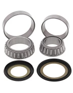 Rulmenti coloana directie cu simeringuri All Balls HONDA FCS 600 '02-'13, VTR 1000 R SP-1 '00-'01, GL 1800 GOLD WING '01-'17, VT 1300 C/CX '10-'18