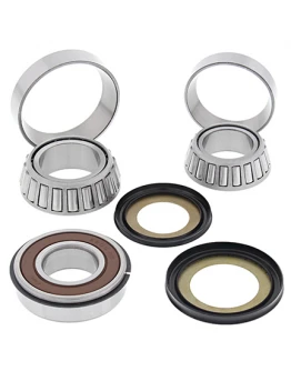 Rulmenti coloana directie cu simeringuri All Balls TRIUMPH 900 SPEED TRIPLE (95) SPEED TRIPPLE (08)