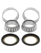 Rulmenti coloana directie cu simeringuri All Balls HUSQVARNA CR 125 '99-'09, WR 125 '08-'09, CR 250 '99-'04, TC 250 '03-'09, TE 250 / WR 250 '08-'13, SWM 300/500 RS
