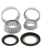 Rulmenti coloana directie cu simeringuri All Balls KAWASAKI KLX 110 '10-'15