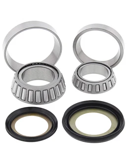Rulmenti coloana directie cu simeringuri All Balls KAWASAKI KLX 110 '10-'15