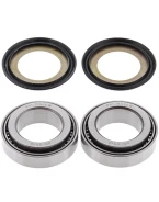 Rulmenti coloana directie cu simeringuri All Balls APRILIA RXV 450/550 '06-'11, SXV 450/550 '06-'11
