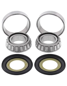 Rulmenti coloana directie cu simeringuri All Balls BMW G450 '08-'11, HARLEY DAVIDSON ROAD KING, ELECTRA GLIDE, STREET GLIDE '14-'16