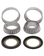 Rulmenti coloana directie cu simeringuri All Balls YAMAHA YP400 MAJESTY 04-13