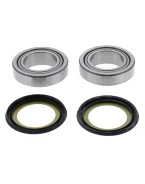 Rulmenti coloana directie cu simeringuri All Balls HONDA CRF 250R 18