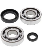 Rulmenti arbore cotit cu simeringuri All Balls HONDA CR 250 '84-'91