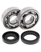Rulmenti arbore cotit cu simeringuri All Balls KAWASAKI KX 125 '88-'07