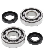 Rulmenti arbore cotit cu simeringuri All Balls KAWASAKI KX 250 '80-'86, KDX 250 '80-'84