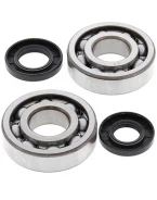 Rulmenti arbore cotit cu simeringuri All Balls KAWASAKI KX 250 '87-'01