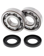 Rulmenti arbore cotit cu simeringuri All Balls KAWASAKI KX 500 '83-'04