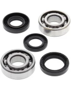 Rulmenti arbore cotit cu simeringuri All Balls YAMAHA YZ 80 '74-'92