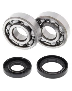 Rulmenti arbore cotit cu simeringuri All Balls YAMAHA YZ 125 '01-'04