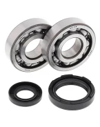 Rulmenti arbore cotit cu simeringuri All Balls YAMAHA YZ 250 '88-'97