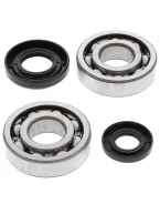 Rulmenti arbore cotit cu simeringuri All Balls YAMAHA YZ 250 '01-'22