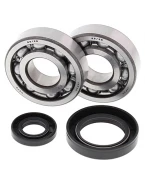 Rulmenti arbore cotit cu simeringuri All Balls HONDA CR 250 '92-'07