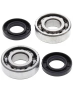 Rulmenti arbore cotit cu simeringuri All Balls KAWASAKI KFX80 '03-'06, SUZUKI LT 80 '87-'06