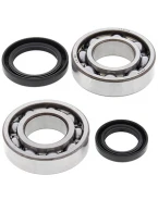 Rulmenti arbore cotit cu simeringuri All Balls SUZUKI LT 250R '85-'92