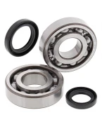 Rulmenti arbore cotit cu simeringuri All Balls SUZUKI LT-500R 87-90