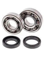 Rulmenti arbore cotit cu simeringuri All Balls YAMAHA YFS 200 BLASTER '88-'06