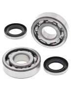 Rulmenti arbore cotit cu simeringuri All Balls KAWASAKI KDX 200 '83-'90