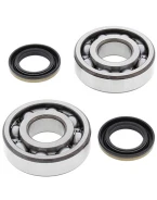 Rulmenti arbore cotit cu simeringuri All Balls KAWASAKI KDX 200/220