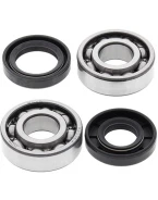 Rulmenti arbore cotit cu simeringuri All Balls YAMAHA PW 50 '81-'19